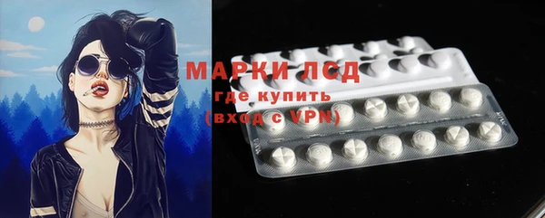 гидра Горняк