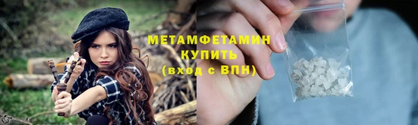 гидра Горняк