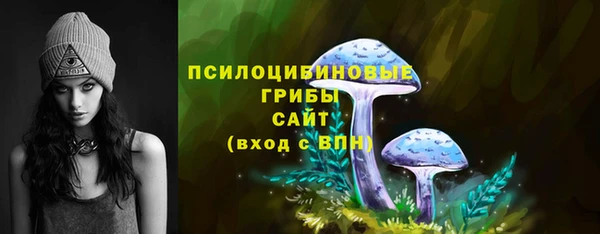 гидра Горняк