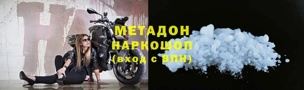 гидра Горняк