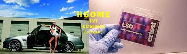 гидра Горняк