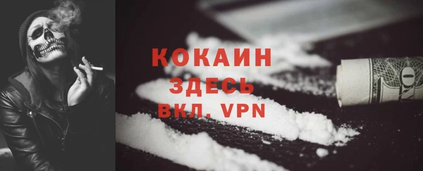 гидра Горняк