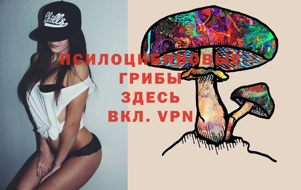 трава Горнозаводск