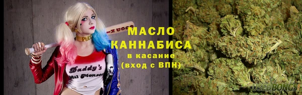 гидра Горняк