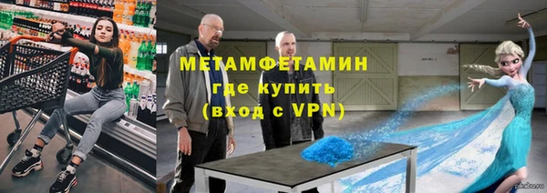 гидра Горняк