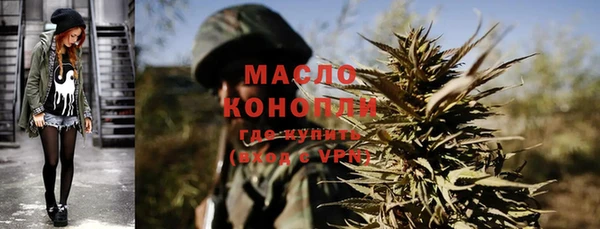 гидра Горняк
