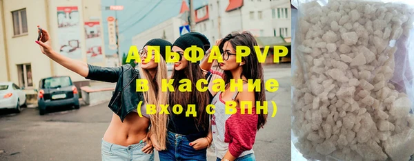 гидра Горняк