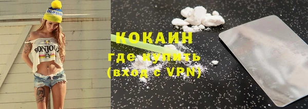 гидра Горняк