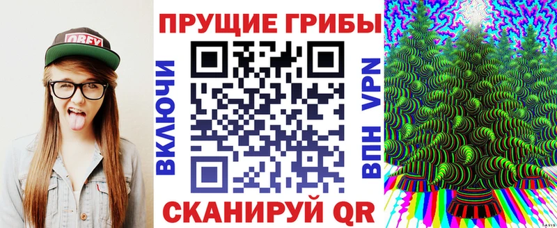 shop телеграм  Западная Двина  Галлюциногенные грибы Cubensis 